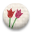 icon_covered_button01_084