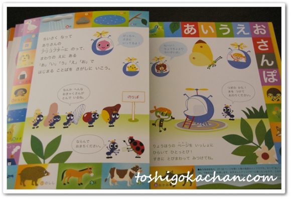 幼児ポピー きいどり