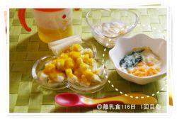 離乳食116日グラタン